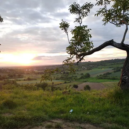 Just Nature Gasthuis Novi Sad